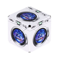 Meow Wolf Series R5