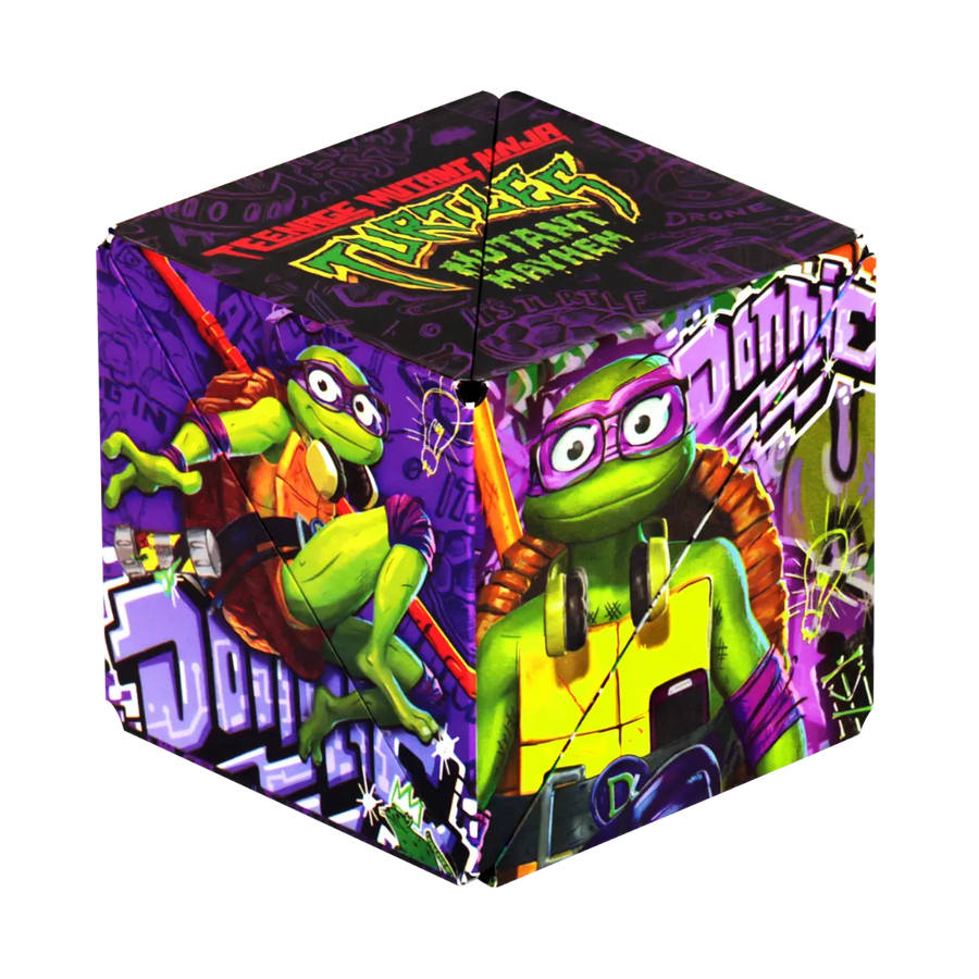 TMNT Series R8