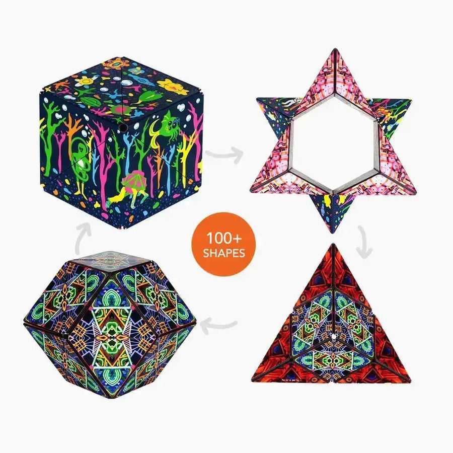 Meow Wolf Series R5