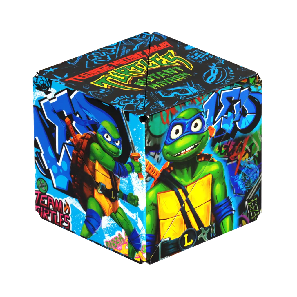 TMNT Series R8