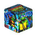 TMNT Series R8