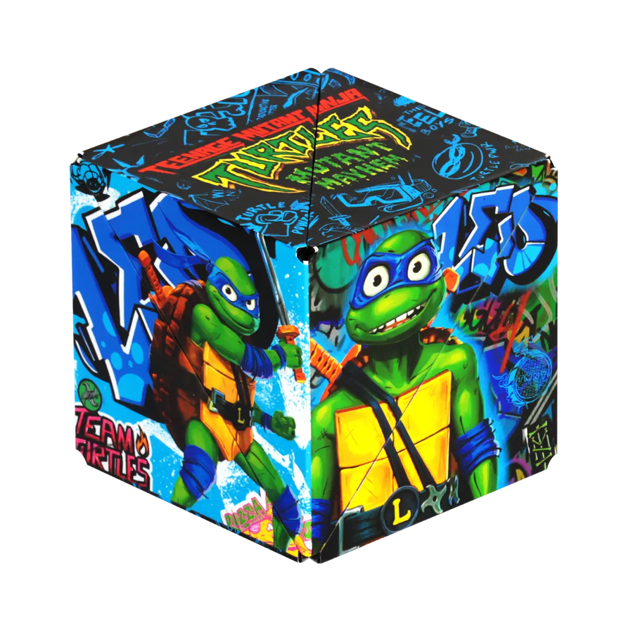 TMNT Series R8