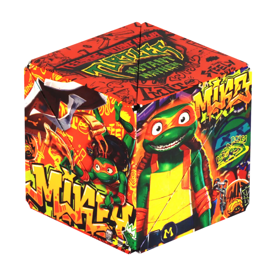 TMNT Series R8
