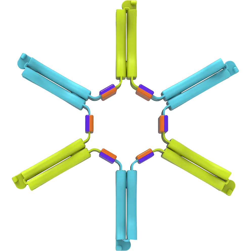 Nockles™ T2