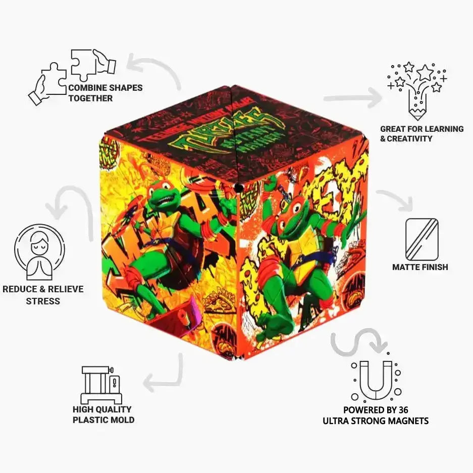 TMNT Series R8