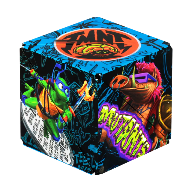 TMNT Series R8