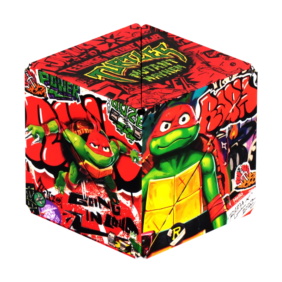 TMNT Series R8