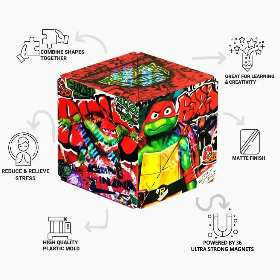 TMNT Series R8